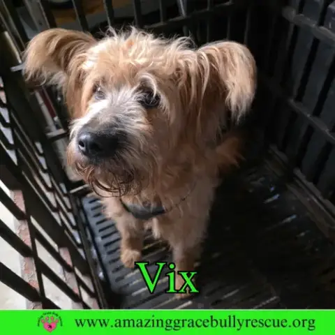 Vix photo 3
