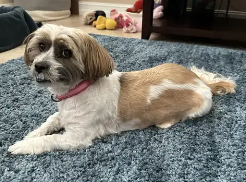 Maggie photo 2