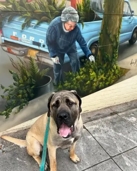Capone photo 2