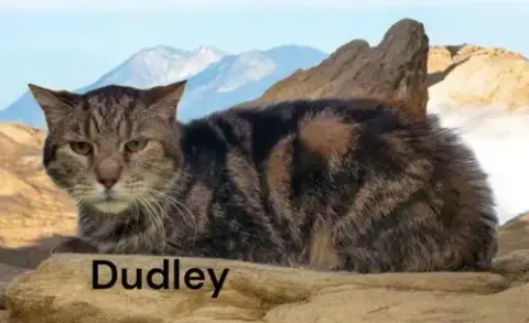Dudley photo 2