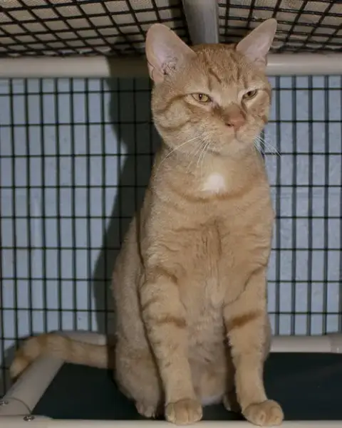 Milo photo 2
