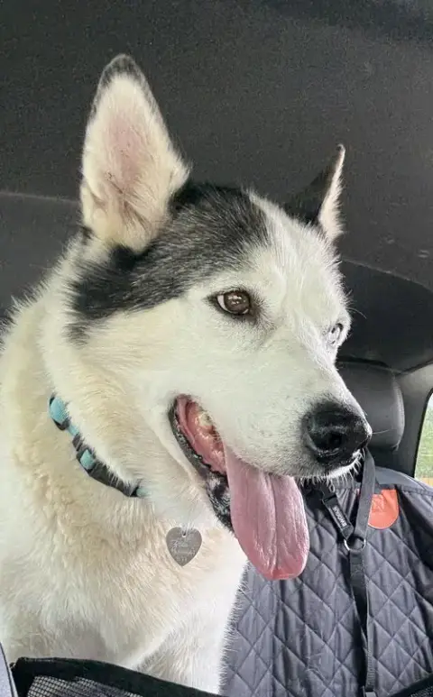 Zeus photo 5