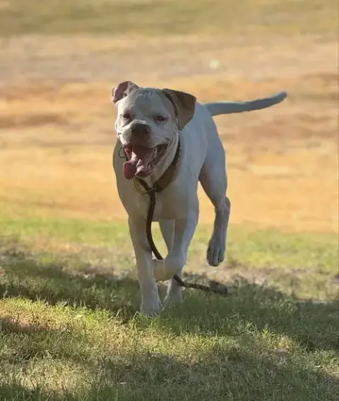 Chance photo 3