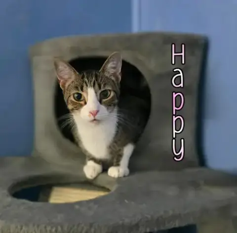 Happy photo 2