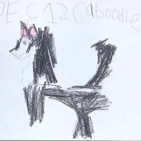 Caboodle photo 4