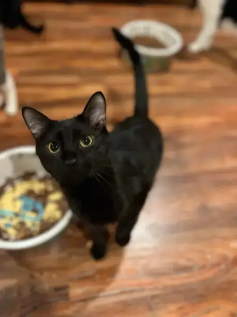 Kilo