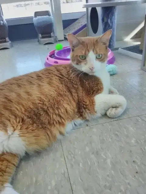 Lonnie Aka Alani