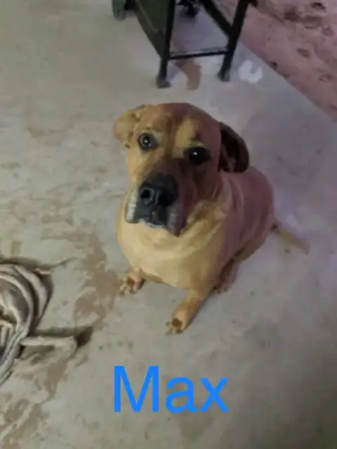 Max photo 2