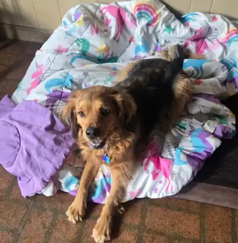 Penny In Ri