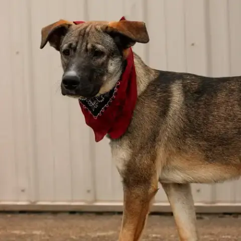 Zane photo 5