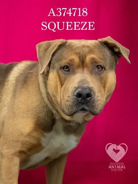 Squeeze