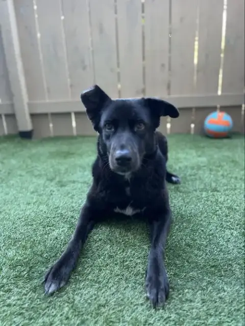 Winnie