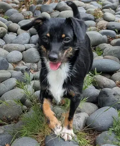 Frida
