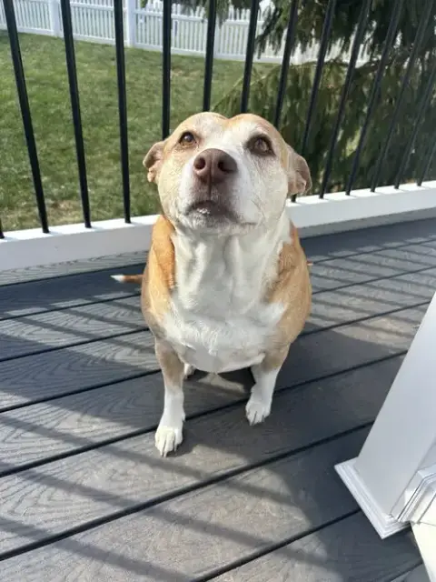 Maggie photo 2