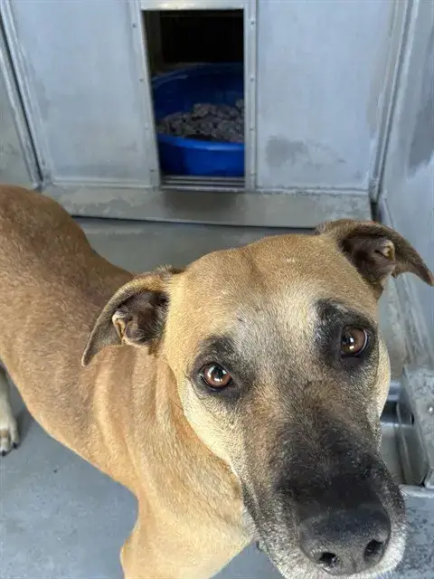 Mama Sandy