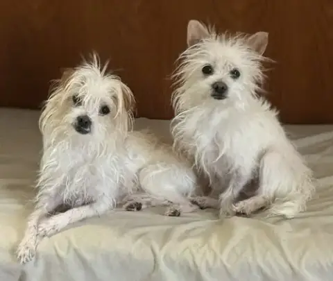 Bert And Ernie photo 2