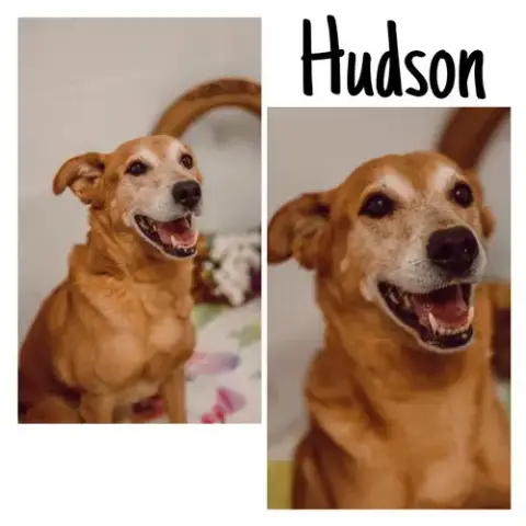 Hudson