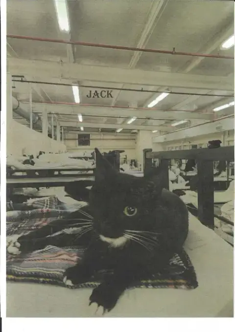 Jack photo 2
