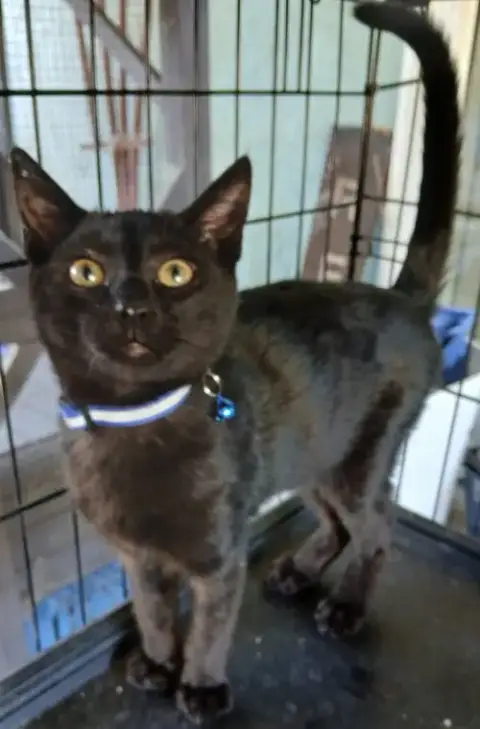 Salem