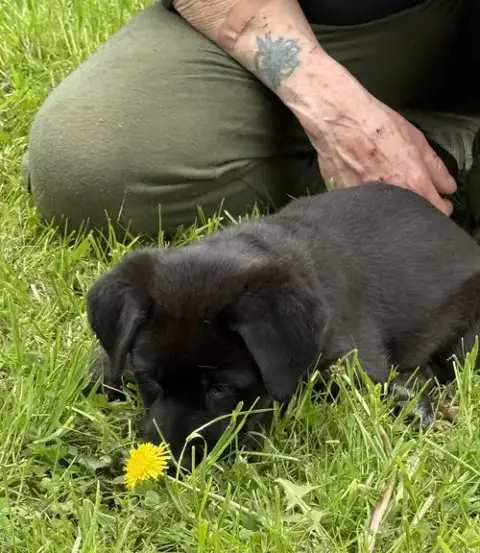 Penny photo 3