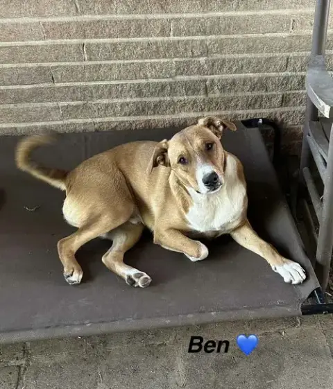 Ben- Beautiful Boy! photo 2