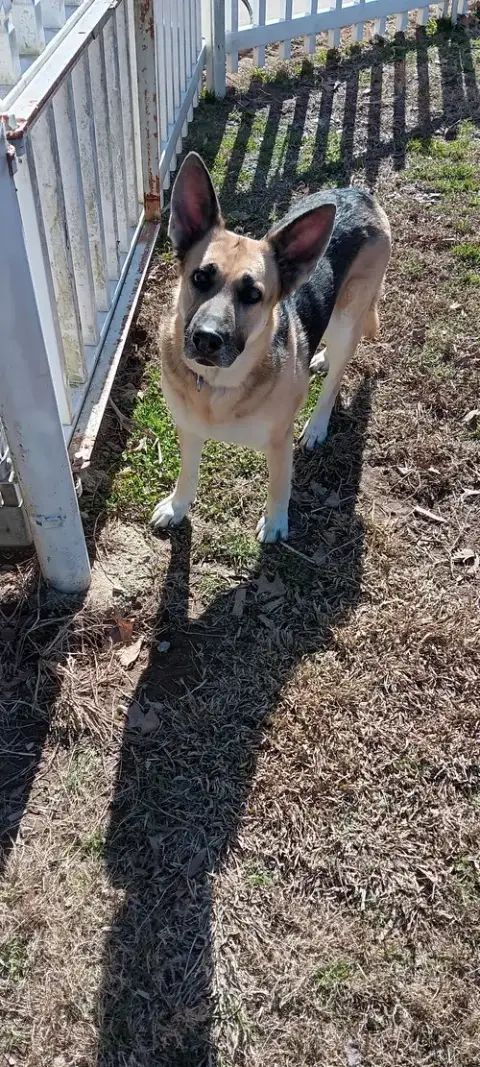 Maggie