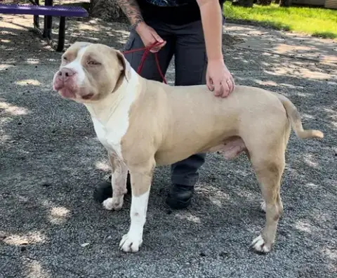 Jax photo 2