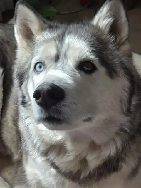 Dakota photo 3