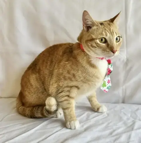Rosie photo 2
