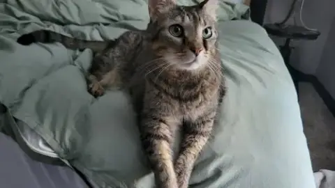Leroy photo 2
