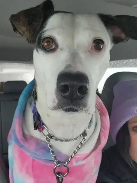 Piper Jo photo 4