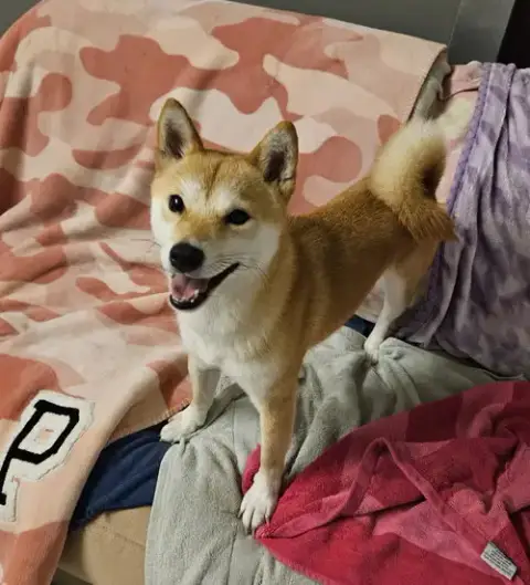 Luna