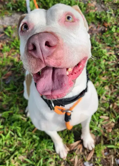 Verna