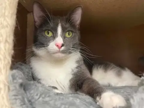 Sam