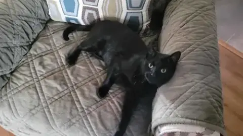 Kiki photo 3