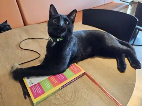 Frasier