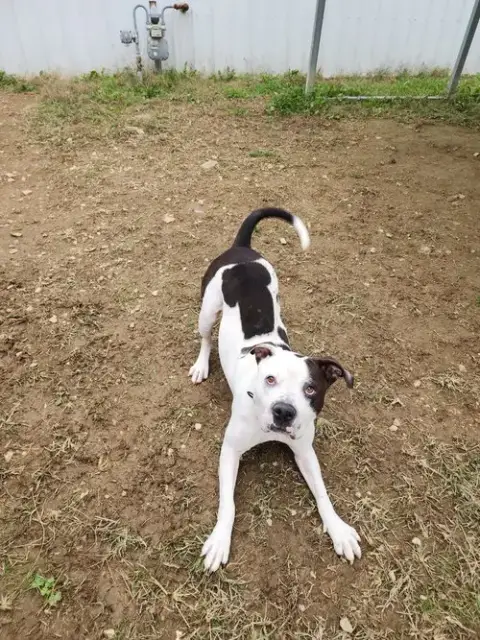 King Zeus photo 4
