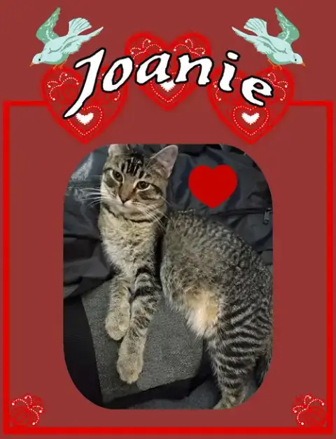 Joanie
