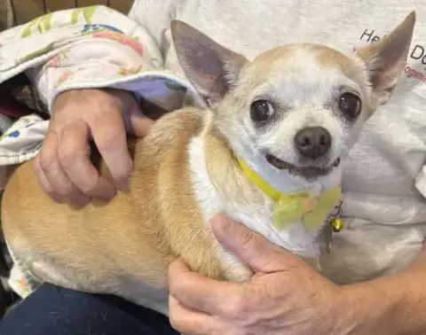 Baby photo 2