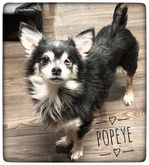 Popeye photo 2