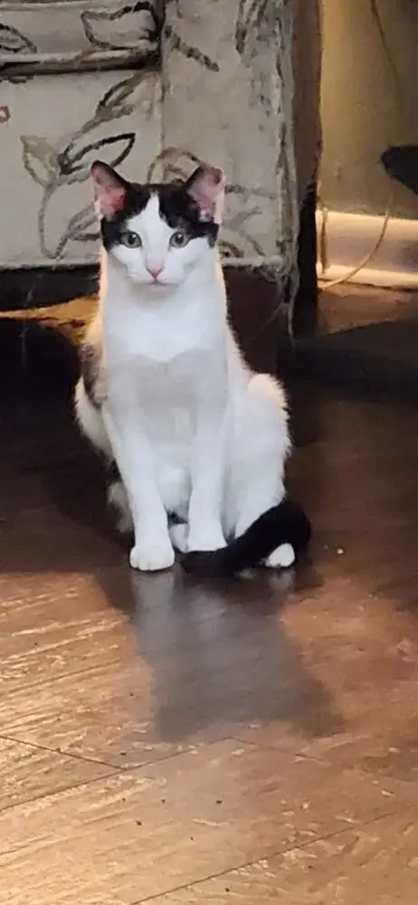 Cate photo 3