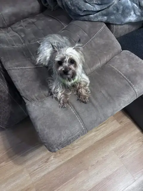 Max(10) photo 3