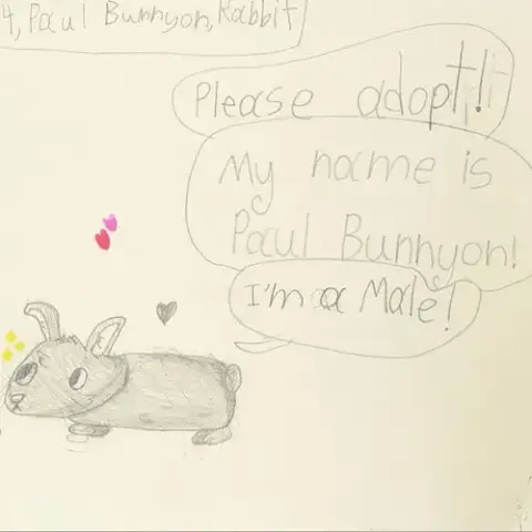 Paul Bunnyon photo 4