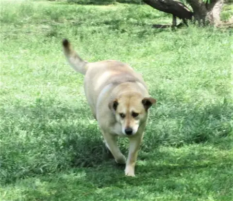 Ellie photo 5
