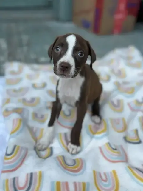 Winnie
