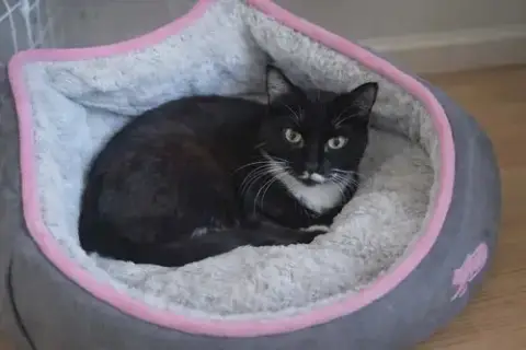 Josephine photo 3