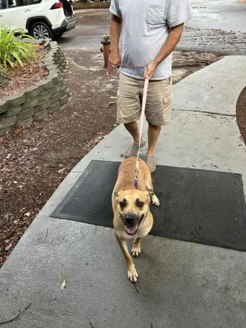 Nala photo 2