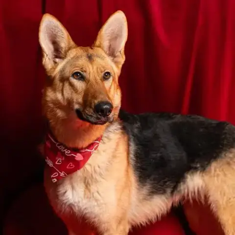 Skye
