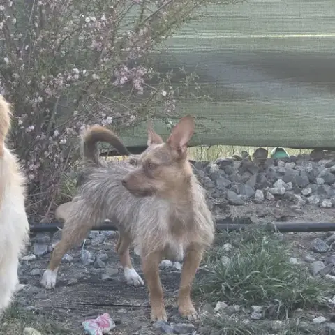 Peaches photo 4