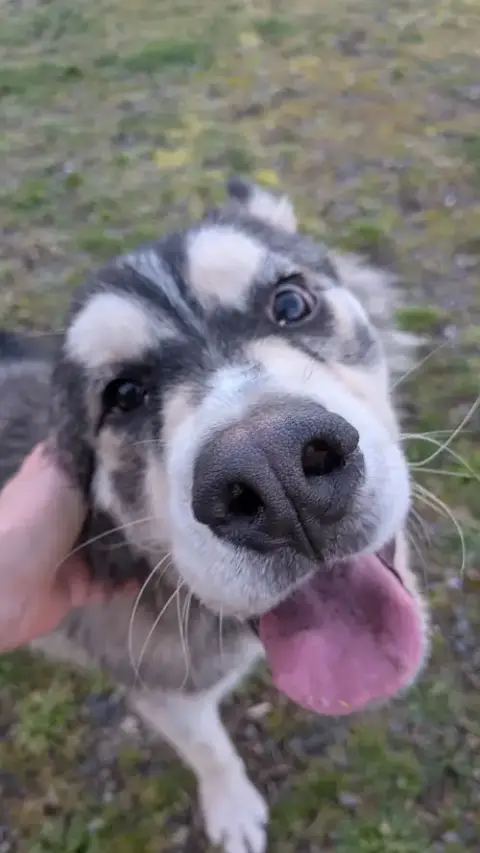 Jak photo 4